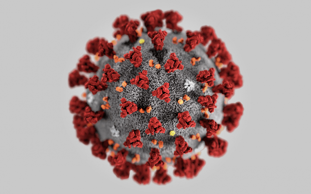 Viergang coronavirus